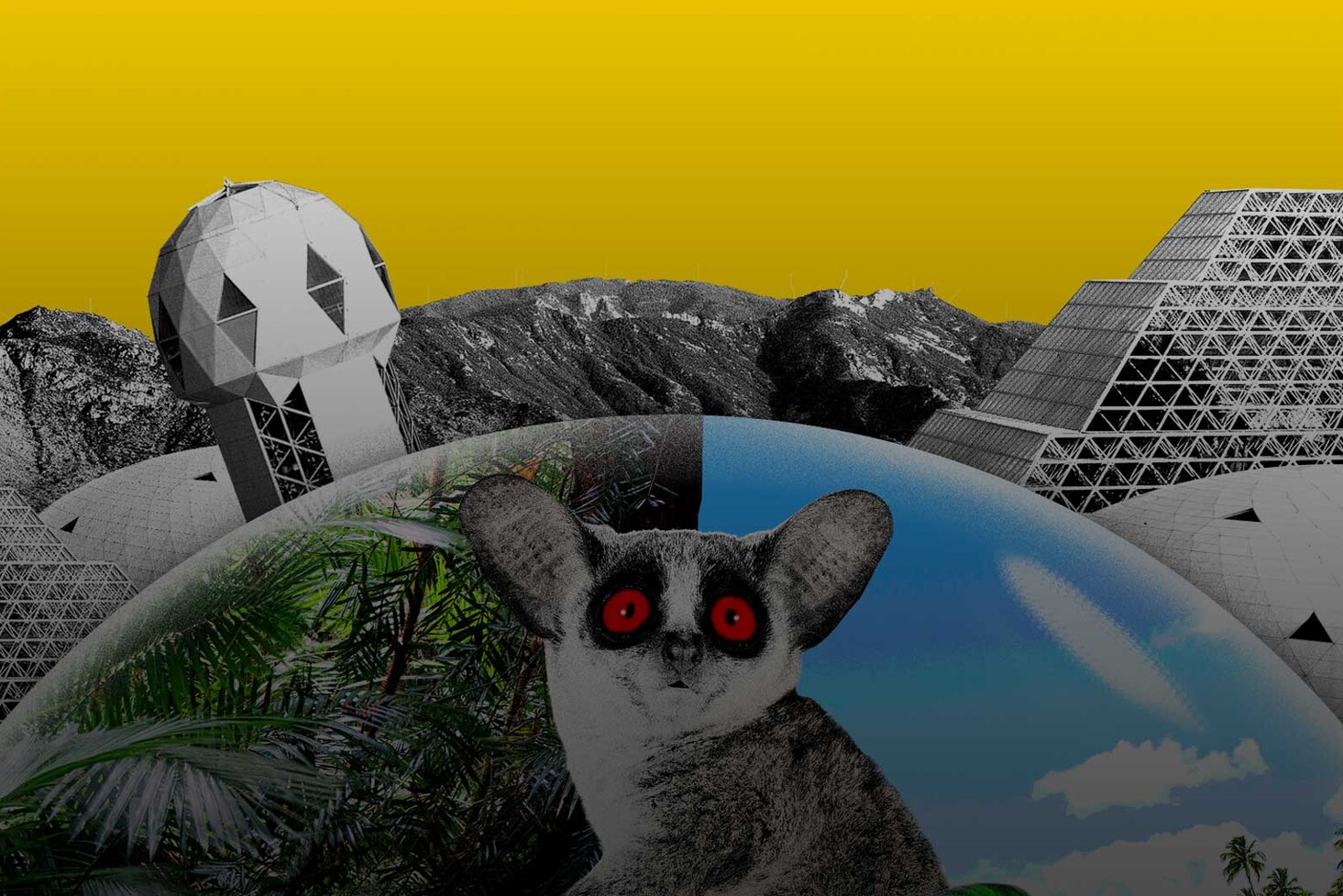 Long Play 79 – Marsin tarhurit