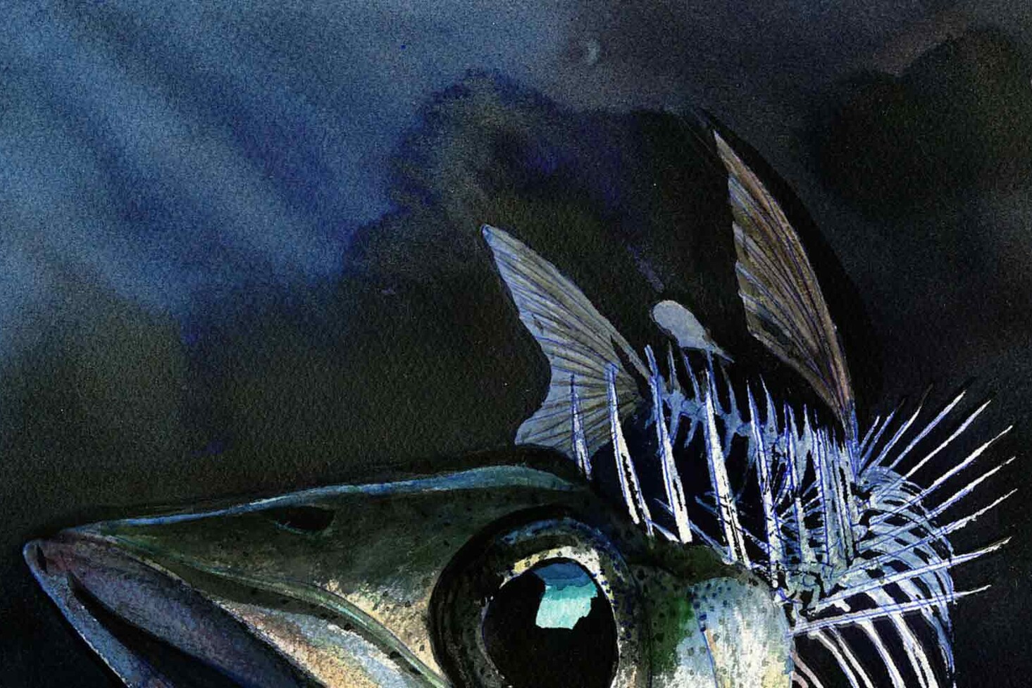 LP10 - Suomalainen kalasoppa